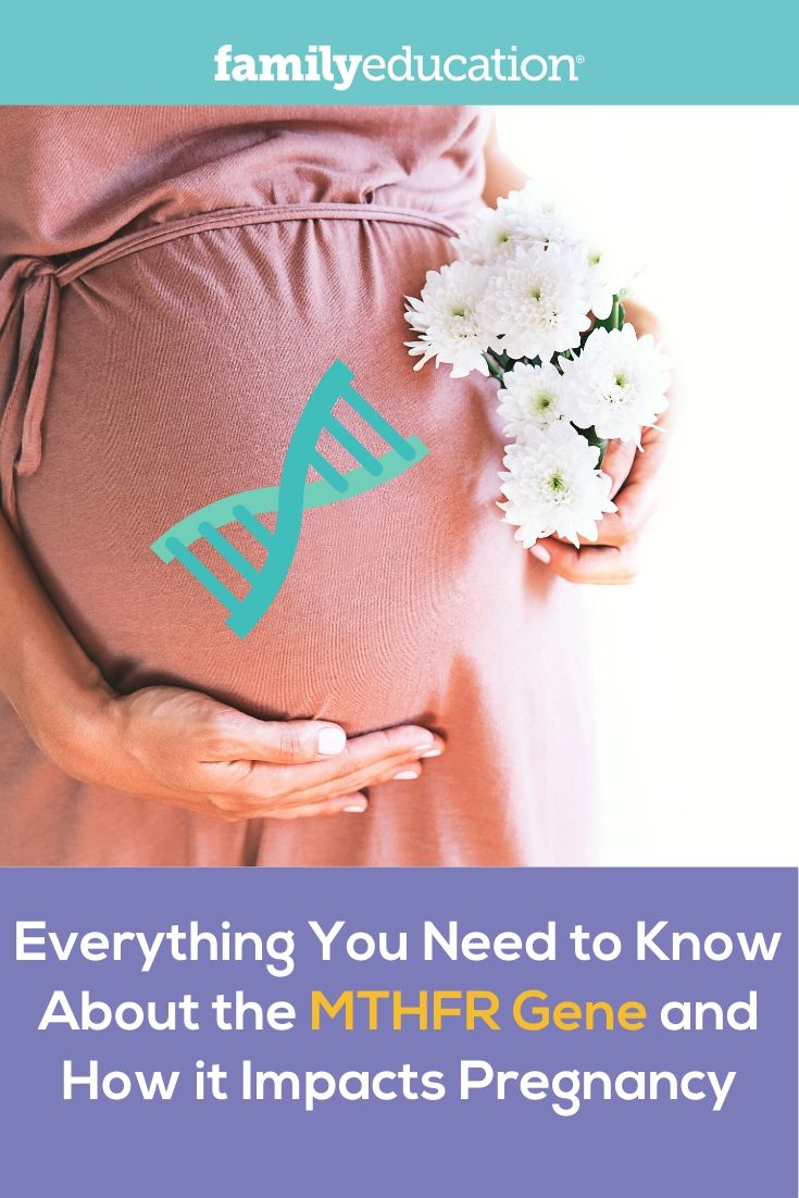 Bagaimana Gen MTHFR Mempengaruhi Kehamilan =